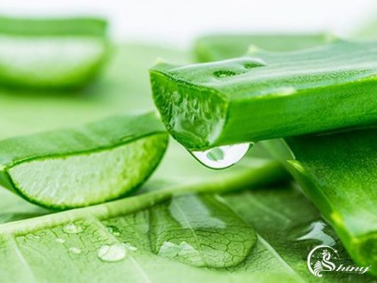 6 cách làm trắng da tại nhà tốt nhất