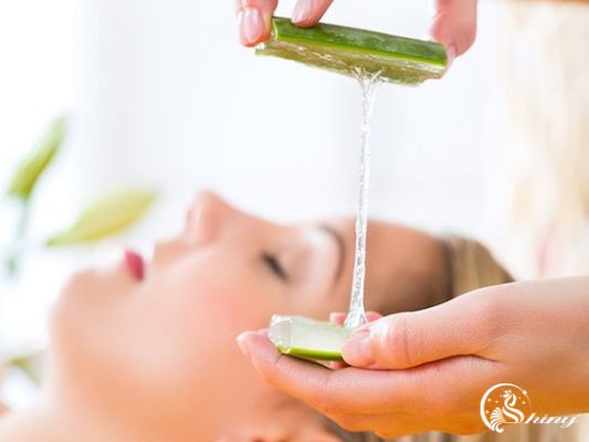 8 tác dụng của nha đam mà không phải ai cũng biết