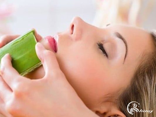 8 tác dụng của nha đam mà không phải ai cũng biết 
