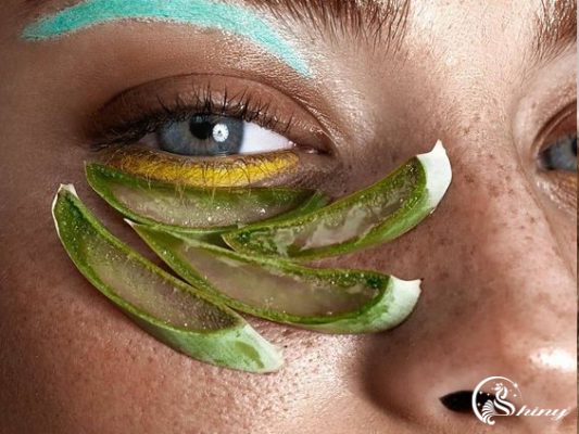 8 tác dụng của nha đam mà không phải ai cũng biết 