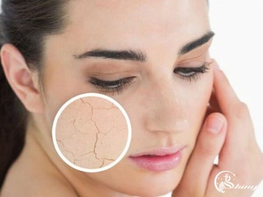 8 tác dụng của nha đam mà không phải ai cũng biết 