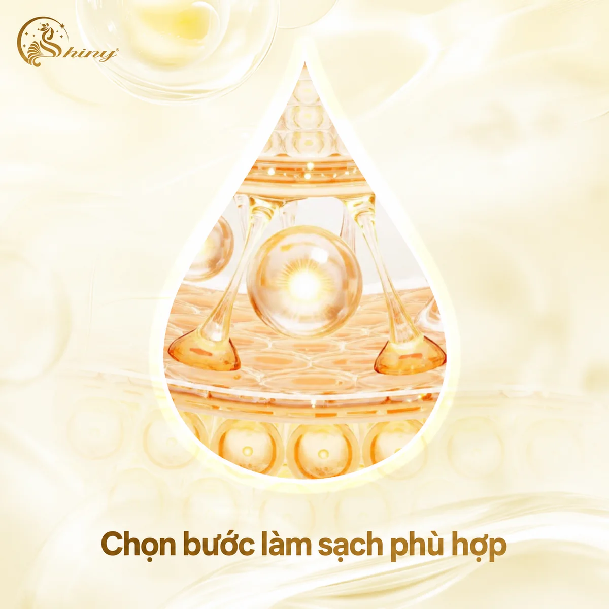 Minh hoạ giọt vàng của Shiny với lời nhắc chọn bước làm sạch phù hợp.